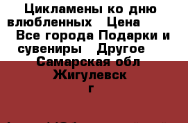Цикламены ко дню влюбленных › Цена ­ 180 - Все города Подарки и сувениры » Другое   . Самарская обл.,Жигулевск г.